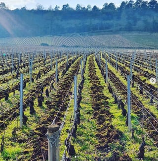 Jérôme Patriarche_4