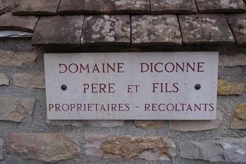 Jean-François Diconne_2