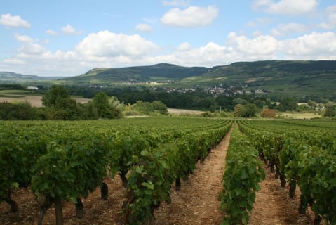 Jean-François Diconne_9