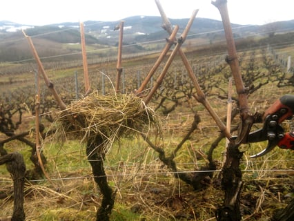 Jean-Michel Dupré (7)