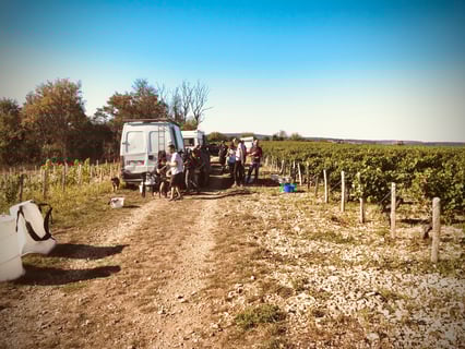 Jonathan Didier Pabiot_2