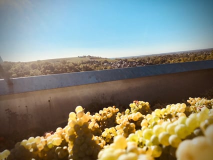 Jonathan Didier Pabiot_3