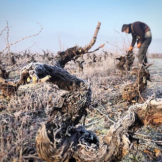 José Antonio García_10