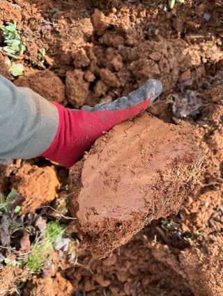 José Antonio García_11