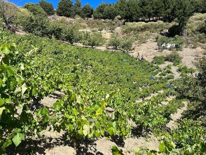 José Antonio García_3