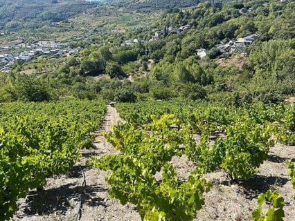 José Antonio García_4