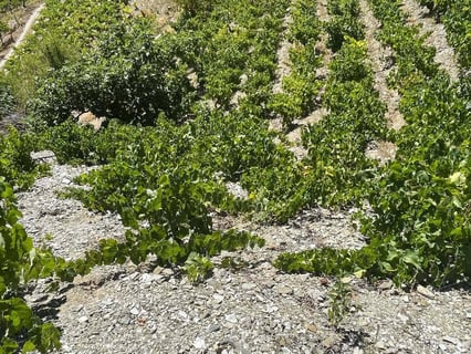 José Antonio García_6