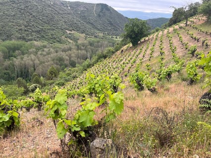 José Antonio García_7