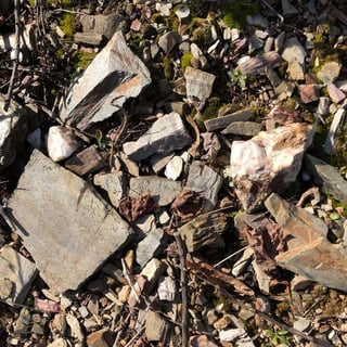 José Antonio García_9