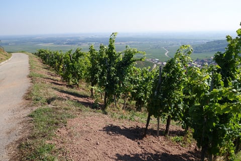 Léon Heitzmann (←Clément Klur)_4