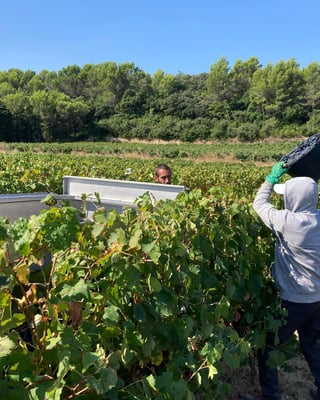 La Bastide Saint Vincent_13