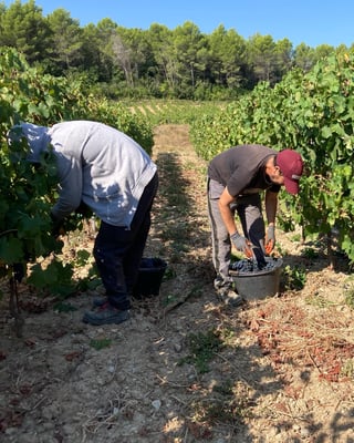 La Bastide Saint Vincent_14