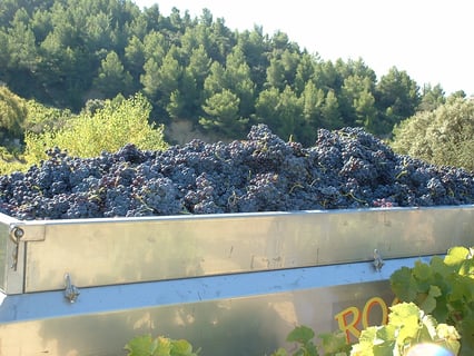 La Bastide Saint Vincent_16