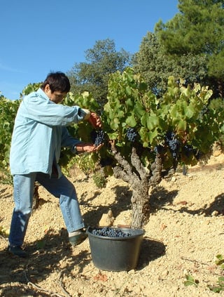 La Bastide Saint Vincent_2
