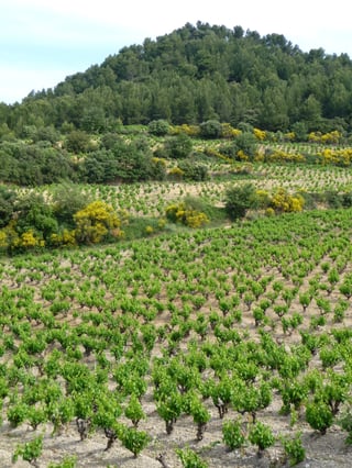 La Bastide Saint Vincent_6