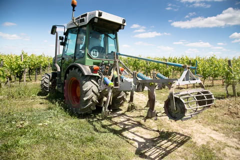 La Croix Loges_La Croix des Loges_7