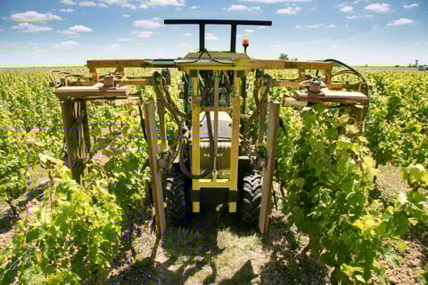 La Croix Loges_La Croix des Loges_8