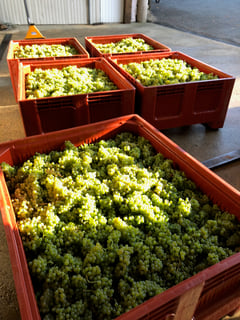 La Croix Loges_La Croix des Loges_9