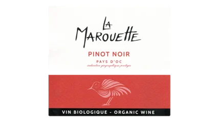 La Marouette Pinot Noir-2
