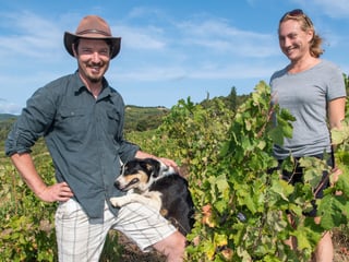 Lanye-Barrac VitiFarm