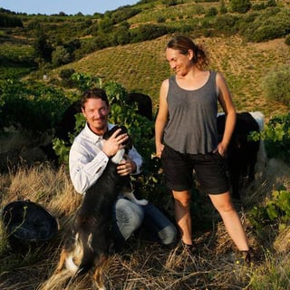 Lanye-Barrac VitiFarm_1