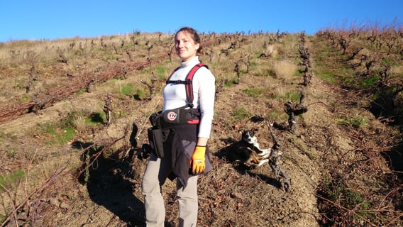 Lanye-Barrac VitiFarm_6