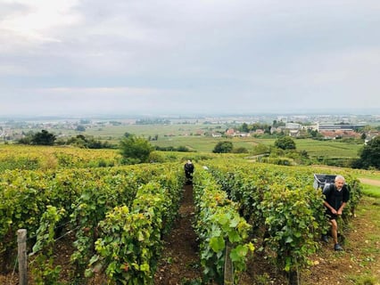 Le Guellec-Ducouet_10