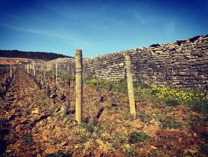 Le Guellec-Ducouet_5