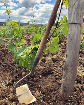 Le Guellec-Ducouet_6