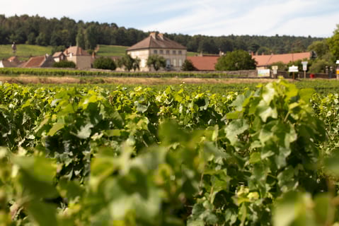 Le Guellec-Ducouet_7