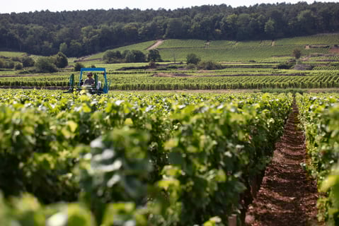 Le Guellec-Ducouet_9