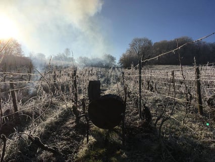 Les 5wy (Yohann Widmer)_3