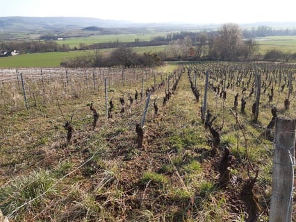 Les 5wy (Yohann Widmer)_4