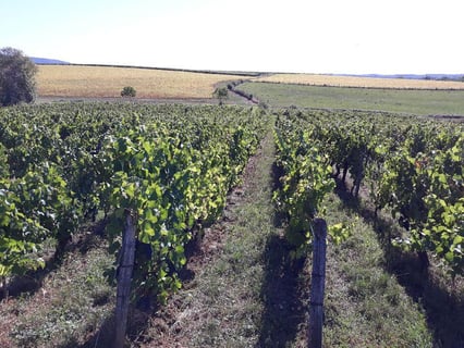 Les 5wy (Yohann Widmer)_5