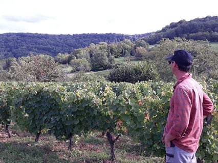 Les 5wy (Yohann Widmer)_6