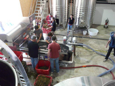 Les Domaines Auriol_16