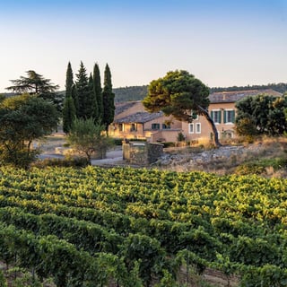 Les Domaines Auriol_5