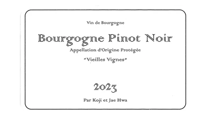 Lou Dumont Bourgogne Rouge Vieilles Vignes 2023