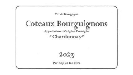 Lou Dumont Coteaux Bourguignons Chardonnay 2023