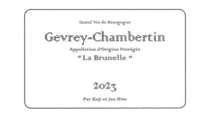 Lou Dumont Gevrey-Chambertin La Brunelle 2023