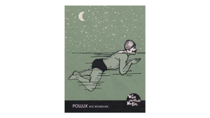 Maison Boisard Bourgueil Pollux-1