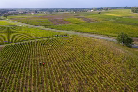 Maison BoueyMaison Bouey_2