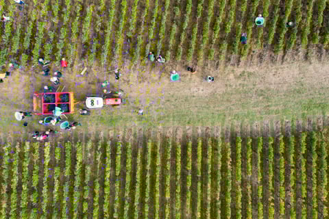 Maison BoueyMaison Bouey_3