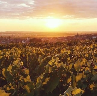 Manon Boutillez-Guer_5