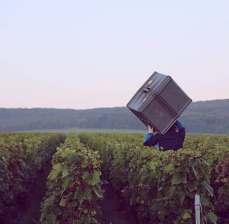 Manon Boutillez-Guer_7