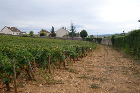 Monthélie-Douhairet-Porcheret_5