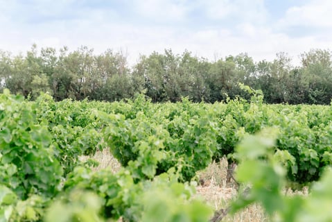 Moon Range (by Lionel Boutié)_11