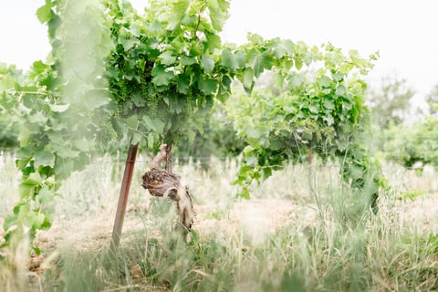 Moon Range (by Lionel Boutié)_13