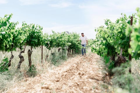 Moon Range (by Lionel Boutié)_2