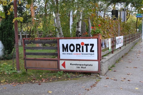 Moritz_2